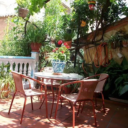 Pension Moni Albayzin * Granada